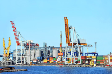 Obraz premium Port cargo crane and container