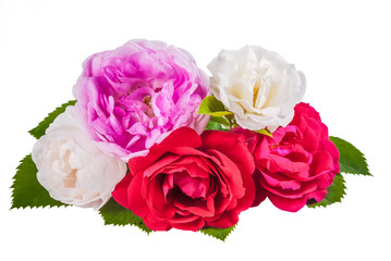 Rose colorful flowers