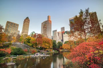 Foto op Plexiglas Gapstow Brug Central Park in Autumn