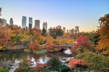 Foto auf Acrylglas Central Park Central Park in Autumn