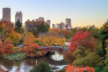 Photo sur Plexiglas Pont de Gapstow Central Park in Autumn
