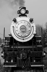 Obraz premium The steam locomotive 