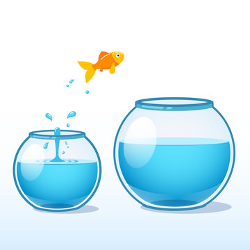 Goldfish making leap of faith to a bigger fishbowl