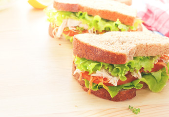 Two big sandwich closeup on light wooden background