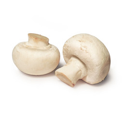 two isolated champignons on white