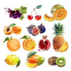 watercolor  fruits