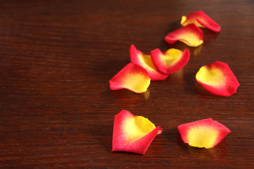 zweifarbige rosenblütenblätter
