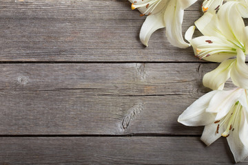 white lily on wooden background