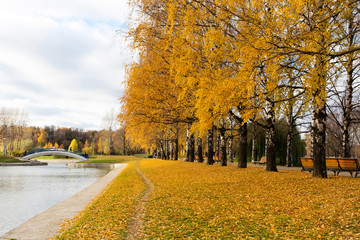 Golden autumn in city park, Moscow, Russian © protivnica