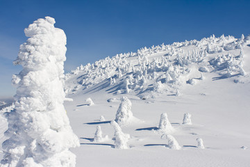 mountain landscape in winter