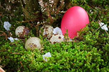 Easter eggs in a basket