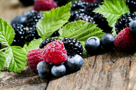 Fresh blackberries, blueberries and raspberries with green leave