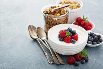 Natural yogurt in a bowl with berries