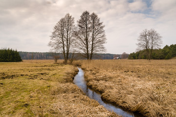 Strumyk © podlaski49