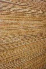 wood texture with natural pattern