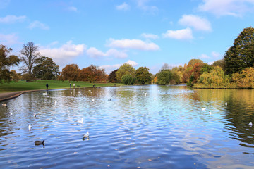 Verulamium Park 