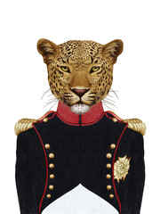 Portrait of Leopard in military uniform. Hand-drawn illustration, digitally colored.