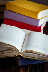 Open book in vintage light tone color