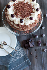 Black forest cake decorated with whipped cream and cherries. 