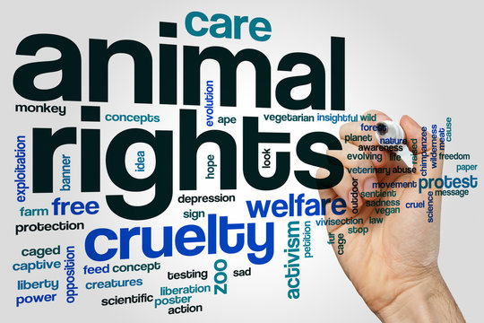 Animal Rights Word Cloud