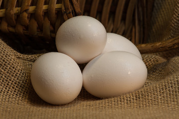 eggs for home cooking and baking