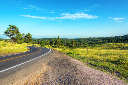 Road curving though the Black Hills National Forest in South Dakota