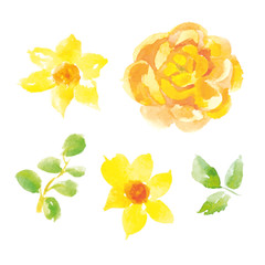 Vector floral collection of yellow flowers and green leaves. Watercolor hand drawn illustration.