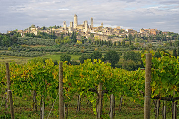 Fototapeta na wymiar San Gimignano, Tuscany, Italy.