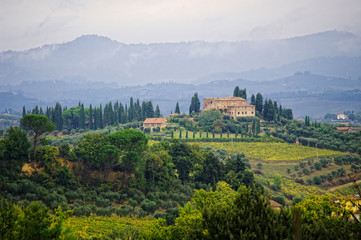 Fototapeta na wymiar Typical landscape in the Tuscany, Italy.