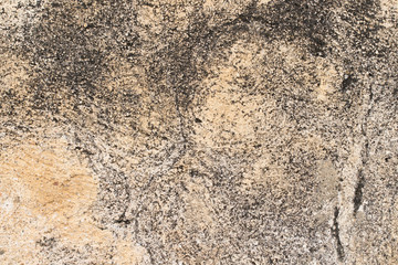 Obraz premium white concrete wall texture