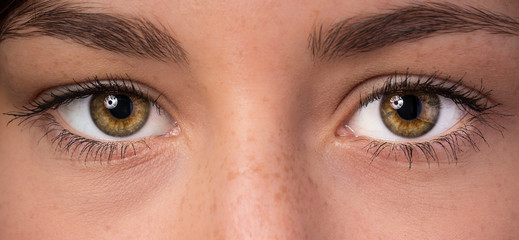 Obraz premium Woman eyes with long eyelashes.
