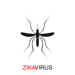 Zika mosquito vector. Virus alert. Aedes Aegypti isolated on white background