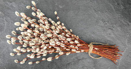 Willow twigs on stone with copy space © azure