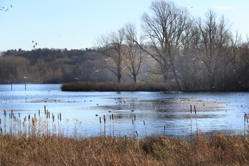Whitlingham Park Norwich