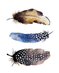 Hand drawn watercolor feather set. Boho style. illustration isol