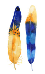Hand drawn watercolor feather set. Boho style. illustration isol