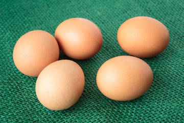 Fresh raw group of eggs put on green sack