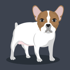 bulldog breed design 