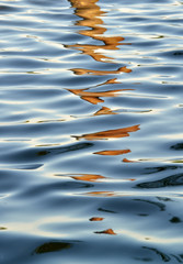 Fototapeta na wymiar Water surface with ripples