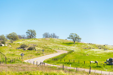 Curvy road country side in California