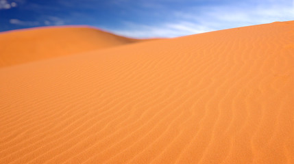 The Pink Sand Dunes at Coral Pink Sand Dunes State Park in Utah