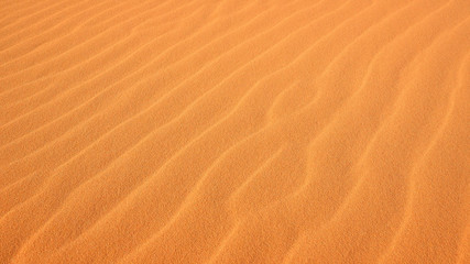 Fototapeta na wymiar Ripples in the Sand at Coral Pink Sand Dunes State Park