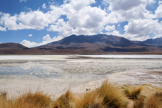 laguna na terenie boliwijskiego Altiplano