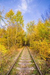 Fototapeta na wymiar Old railway in forest