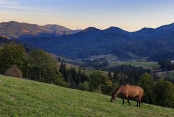 Fototapeta na wymiar Horse on the slope on mountain background at evening