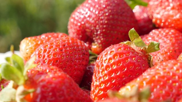Tasty red strawberry fruit background slow tilting 4K 2160p UltraHD footage - Fragaria ananassa slow tilt on red fresh fruit pieces 4K 3840X2160 UHD video 