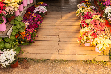 Wooden path way with beautiful flowers