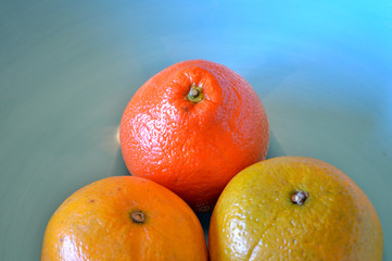 Valencia oranges and tangelos in large blue bowl