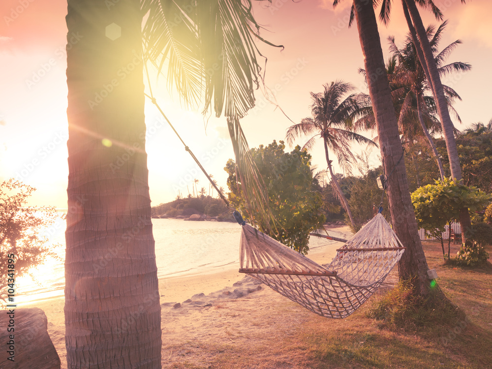 Wall mural hammock on the shore of a tropical beach at sunset - Wall murals