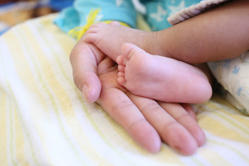 Baby feet in mom hand.